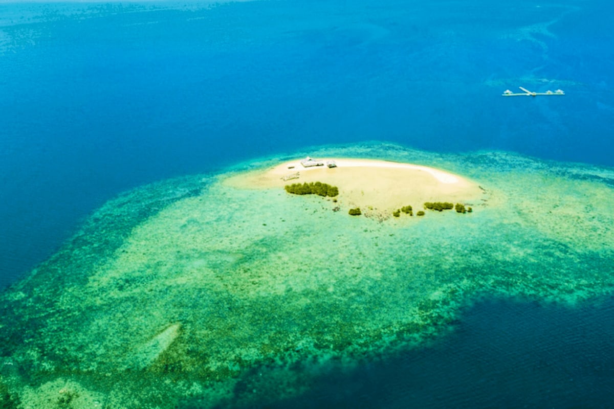 Honda Bay Palawan Island Hopping Tour