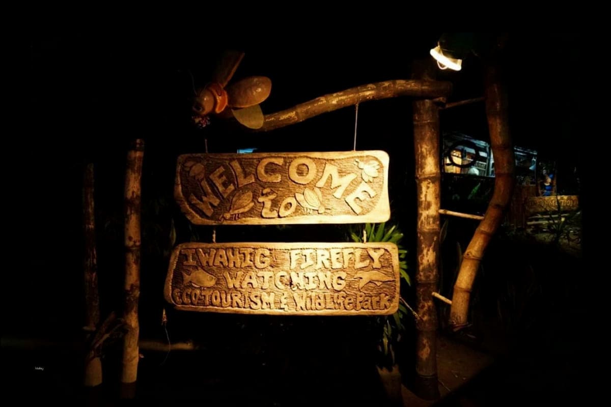 Firefly Watching in Puerto Princesa