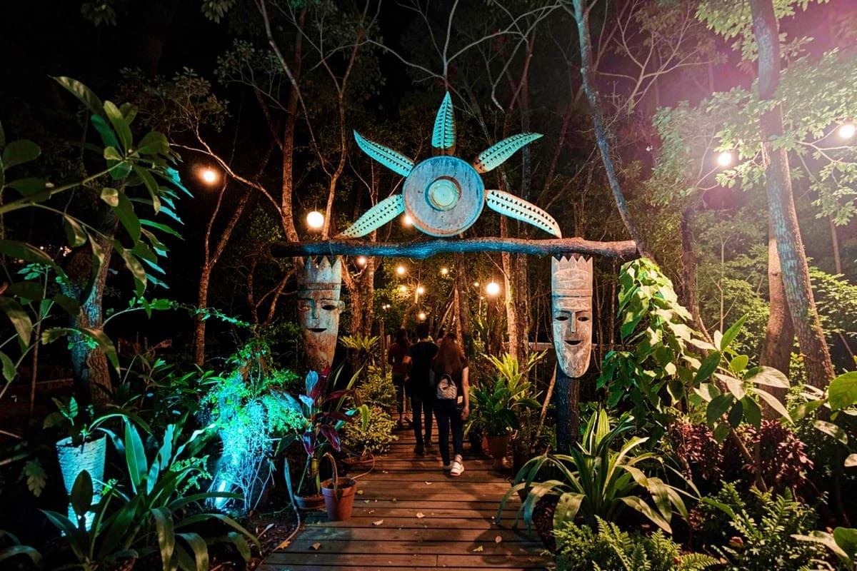 Firefly Watching in Puerto Princesa