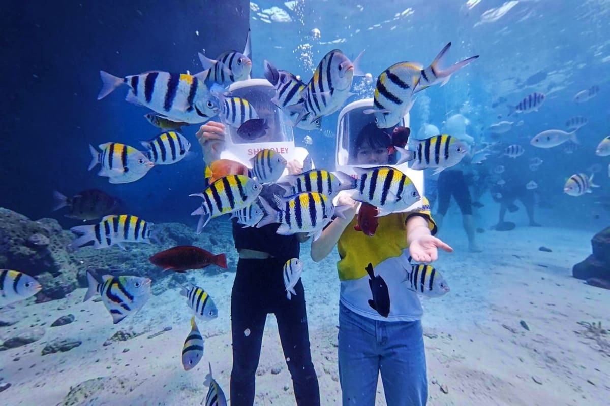 Boracay Helmet Dive Experience