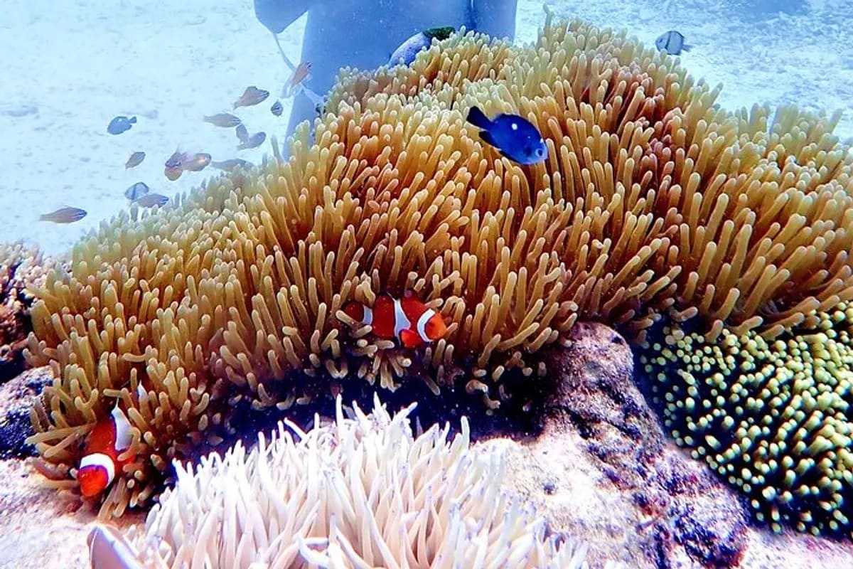 Boracay Helmet Dive Experience