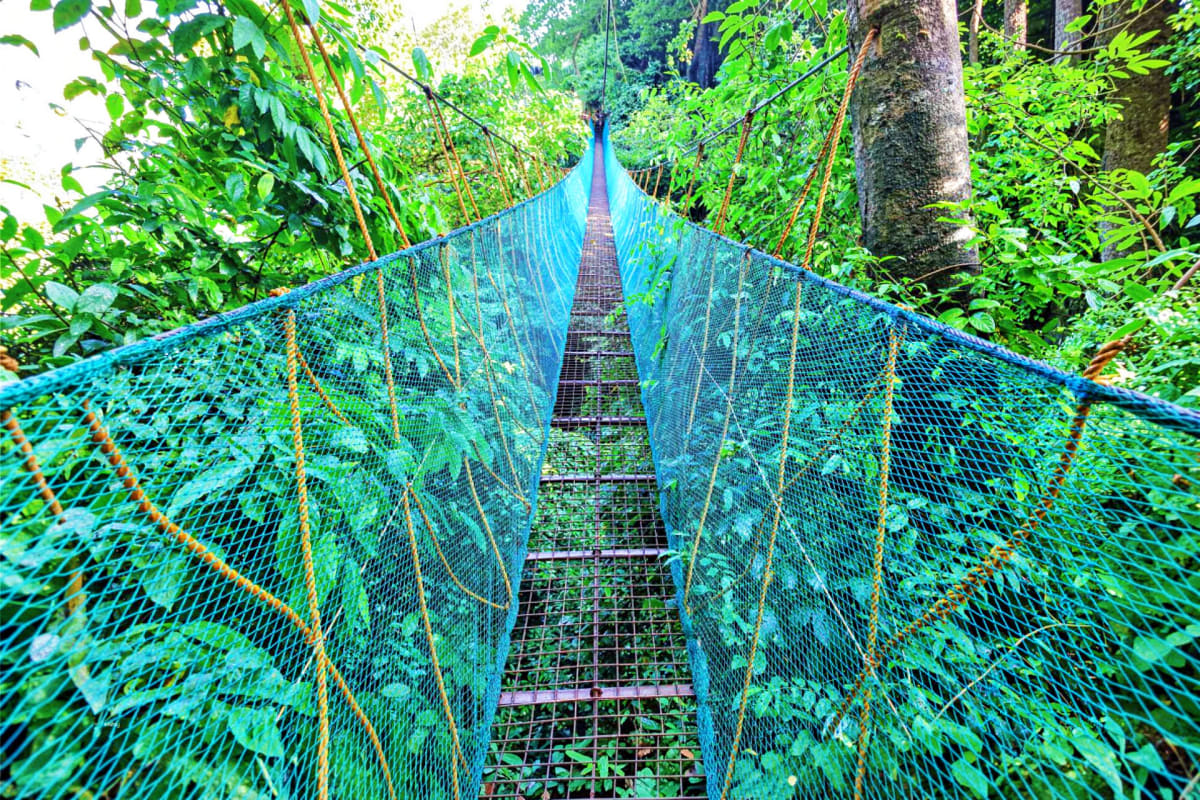 El Nido Via Ferrata Ticket Canopy Walk Viewdeck and Dreamcatcher