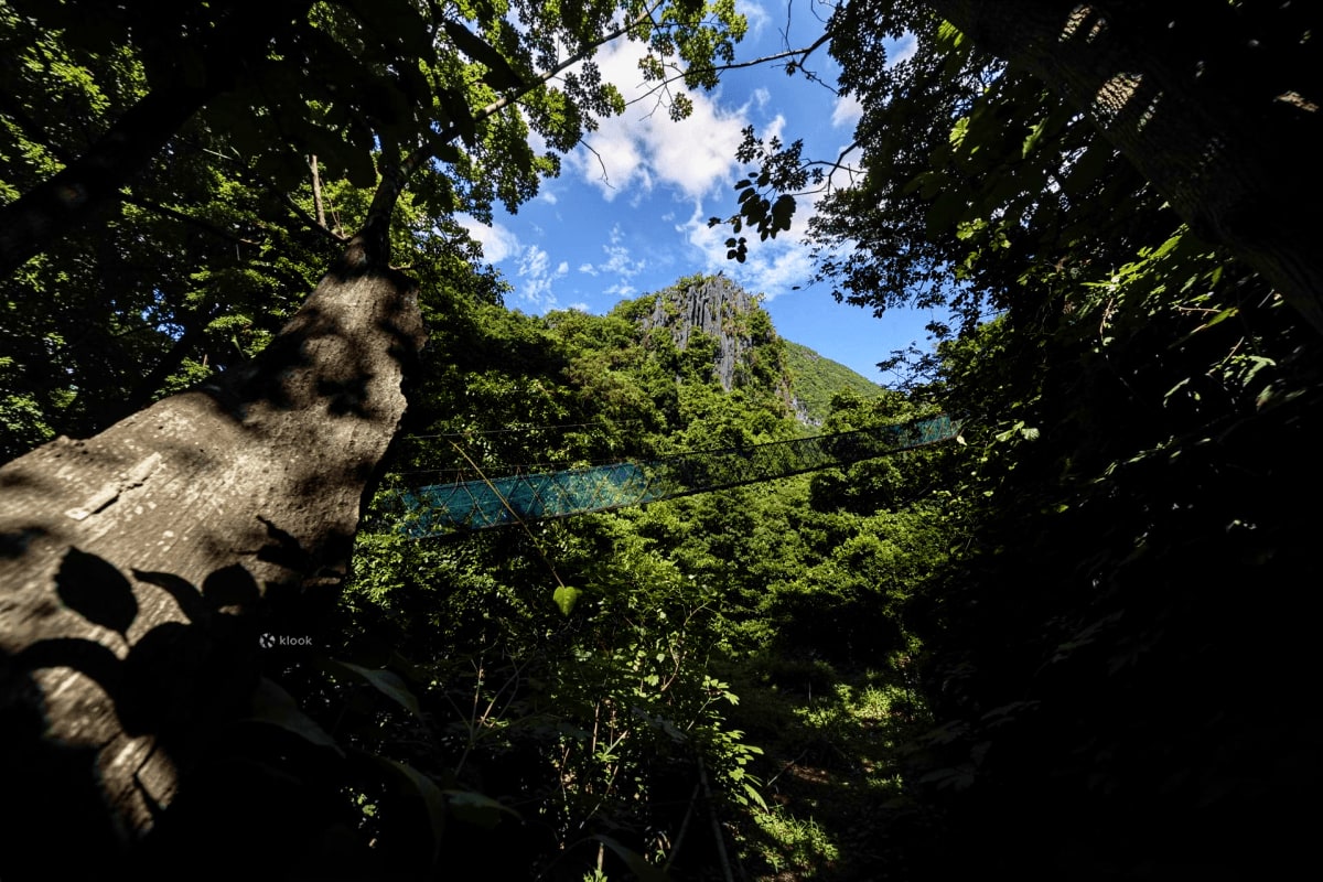 El Nido Via Ferrata Ticket Canopy Walk Viewdeck and Dreamcatcher