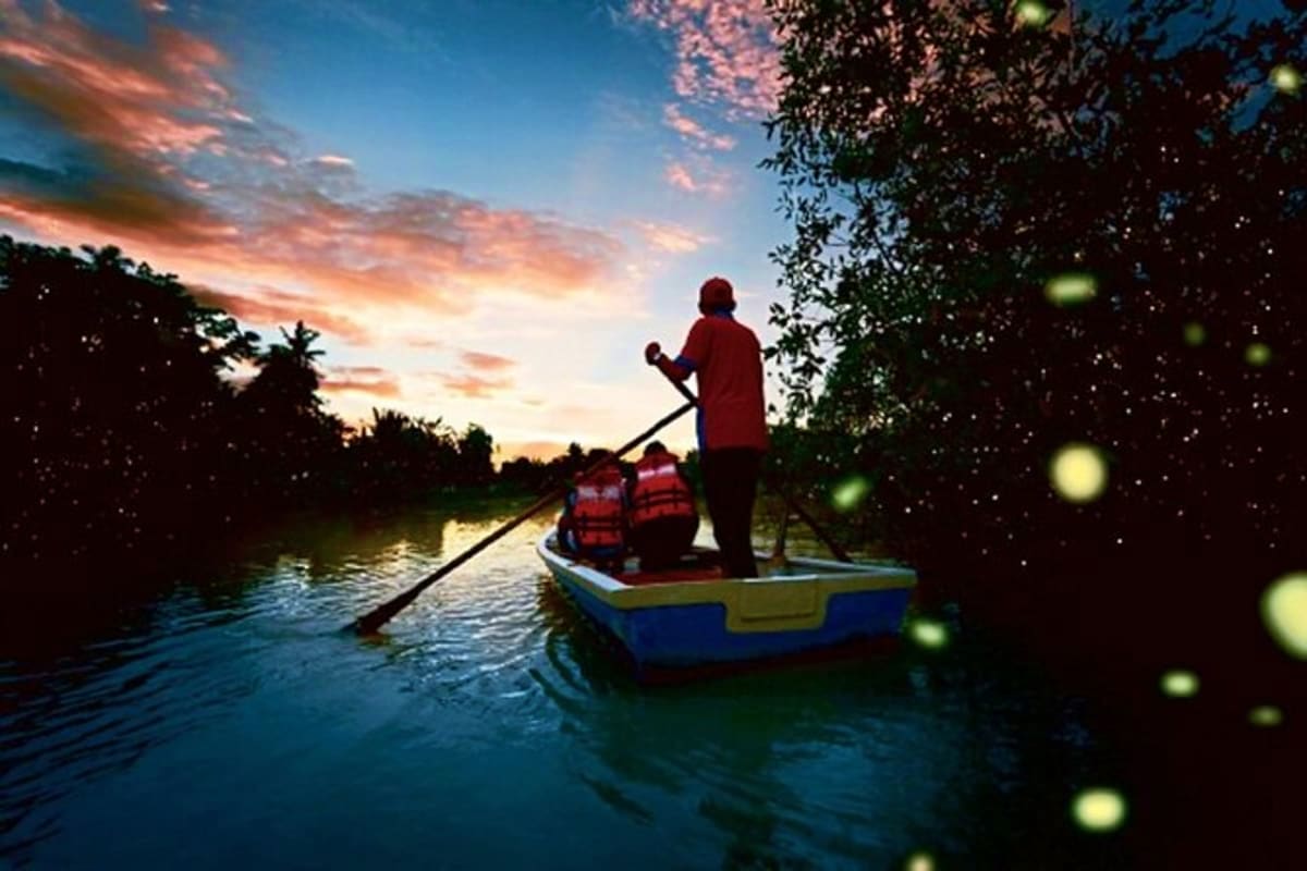 Fireflies Boat Tour with Dinner