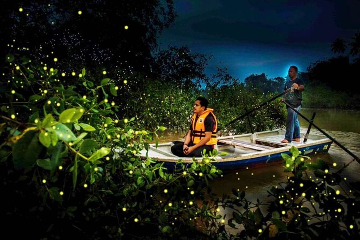 Fireflies Boat Tour with Dinner