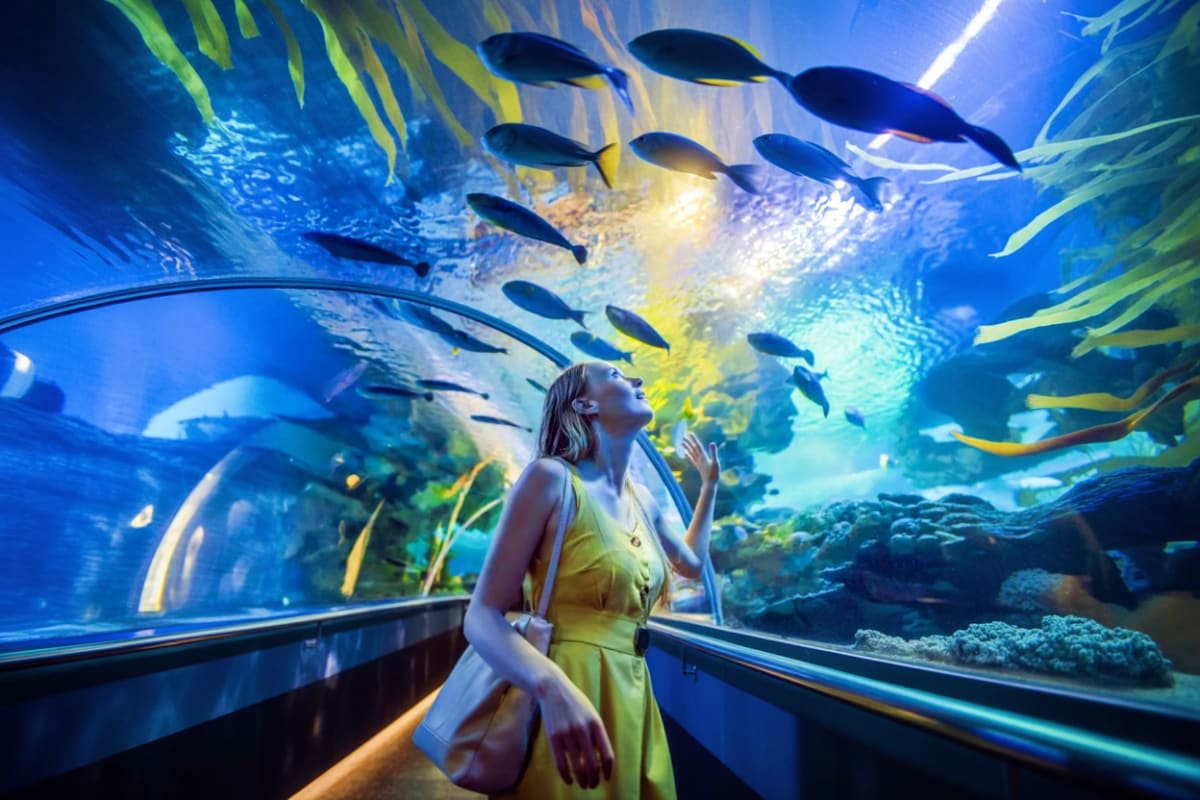 Langkawi Underwater World Langkawi Under Water World Ticket
