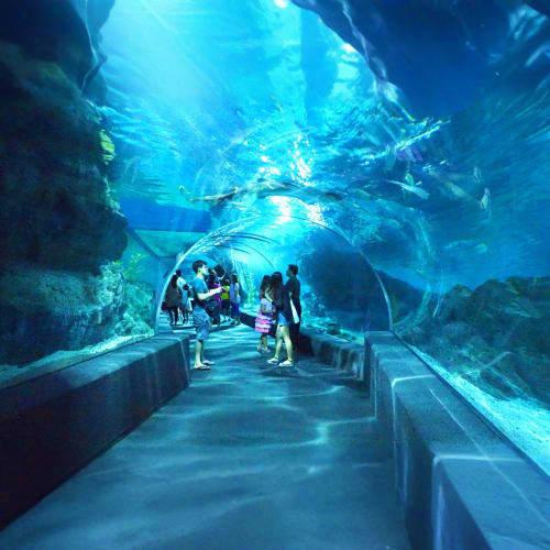 Sealife Aquarium thailand