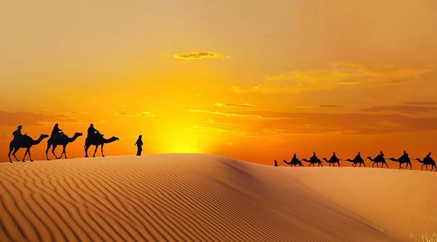 camel-riding-tour
