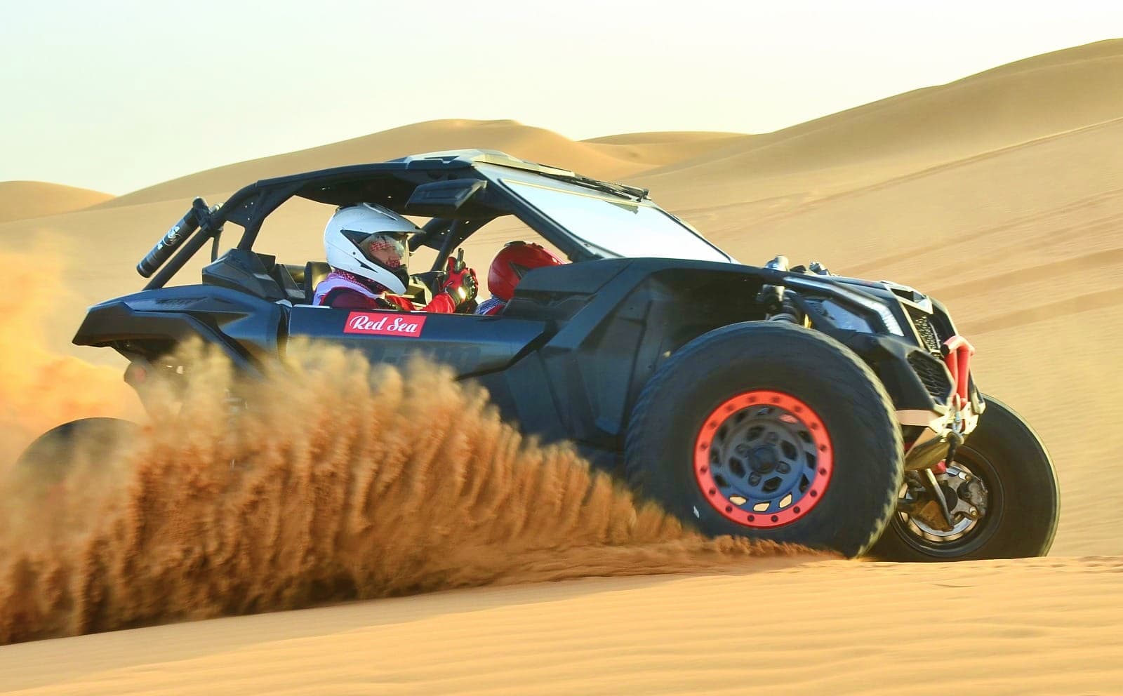 Buggy_Image_2