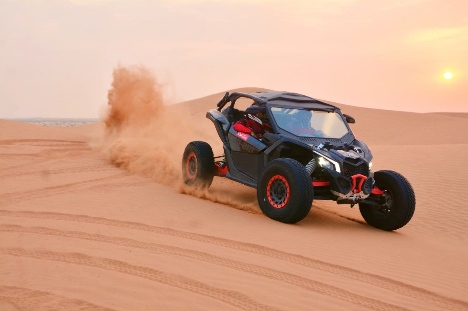 Buggy_Image_3