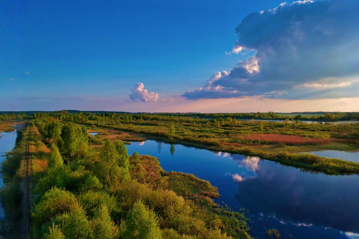 Berezinsky Biosphere Reserve