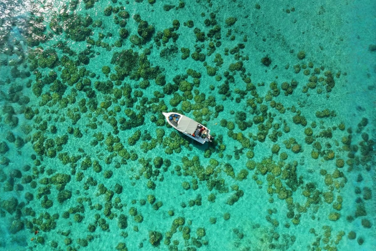 Mauritius Beach Boat