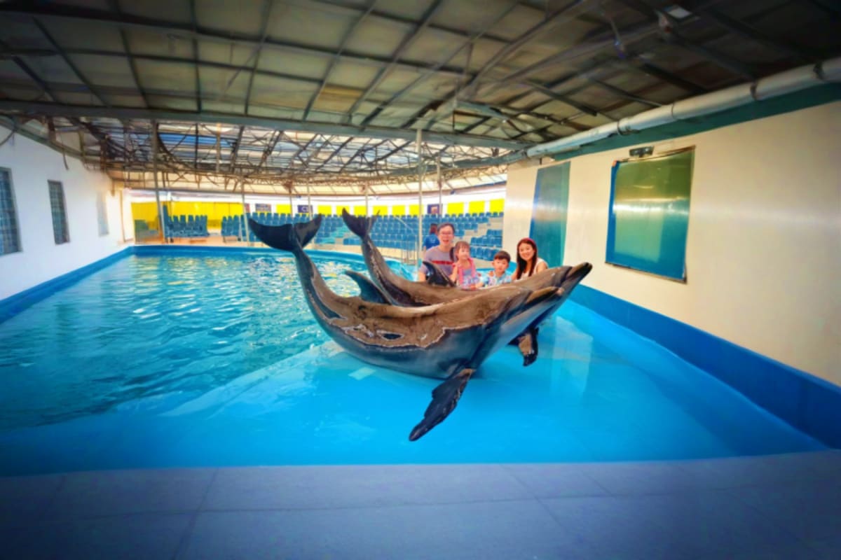 Dolphinarium Pattaya