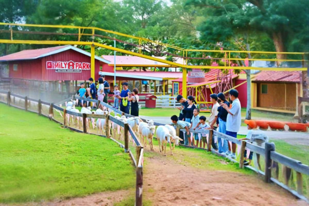 Family Park Pattaya Sheep Farm