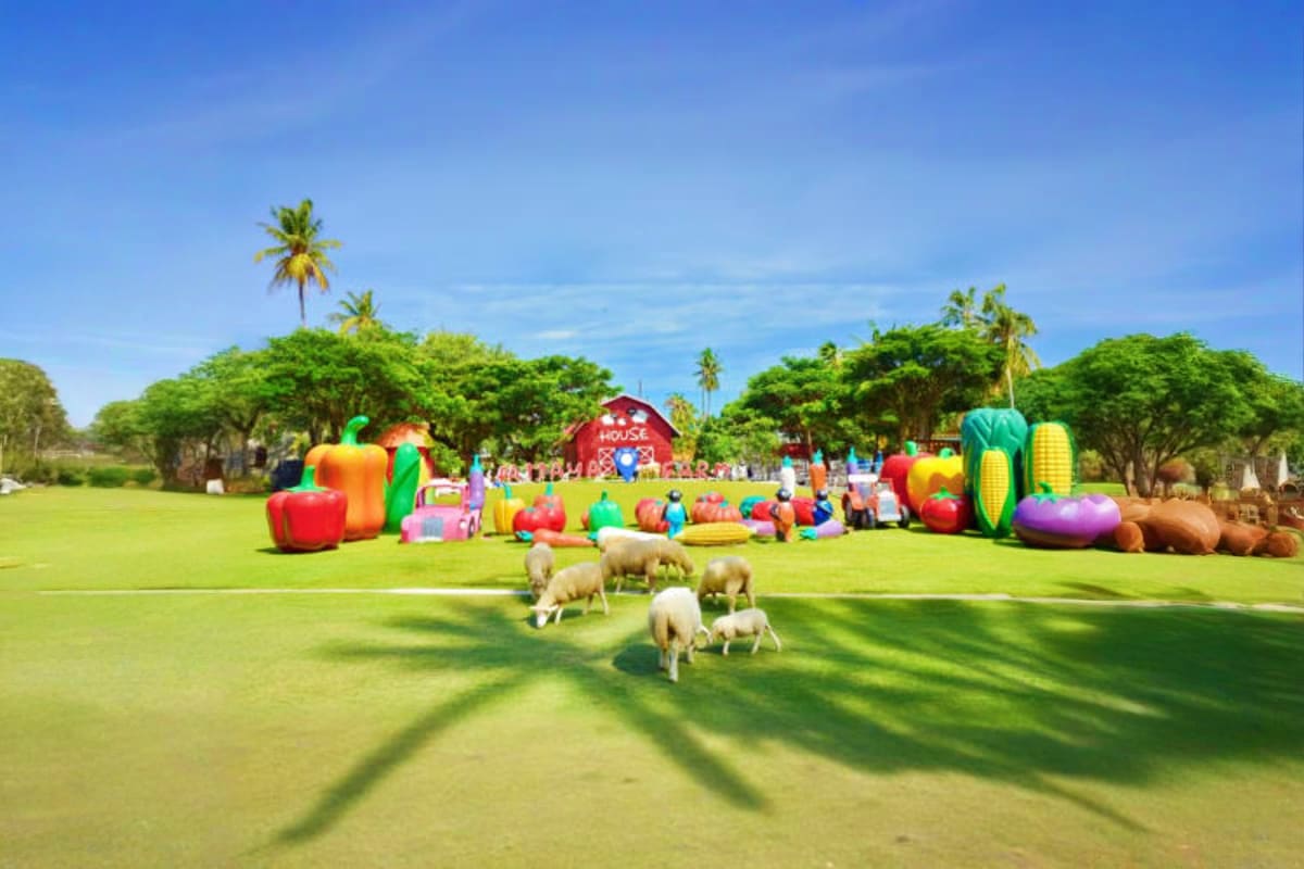 Family Park Pattaya Sheep Farm