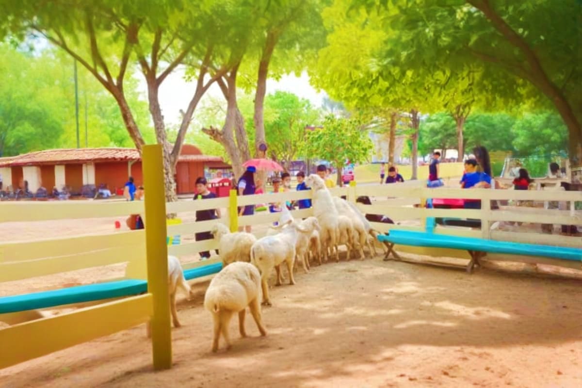 Family Park Pattaya Sheep Farm