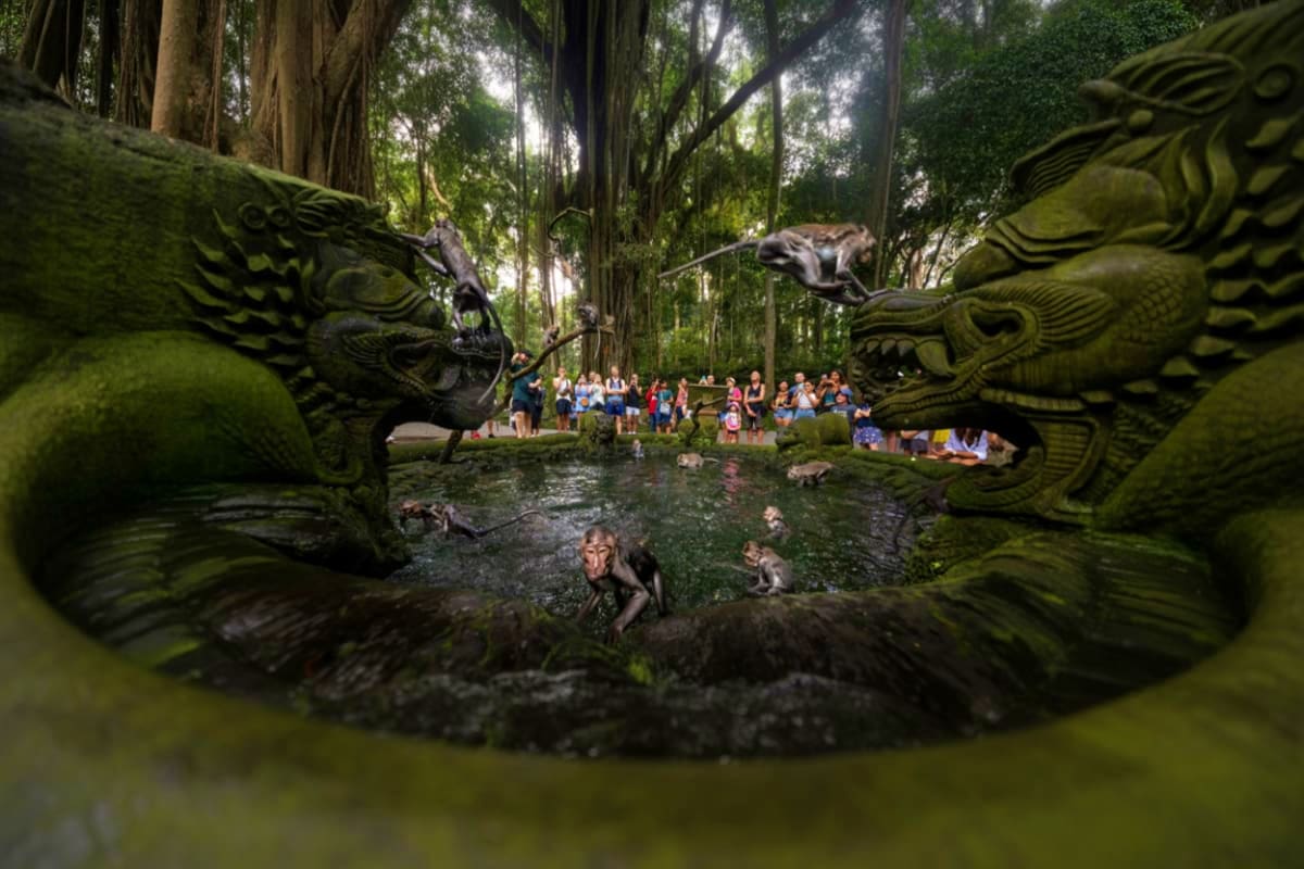 Sacred Monkey Forest Ubud Sacred Monkey Forest Ubud