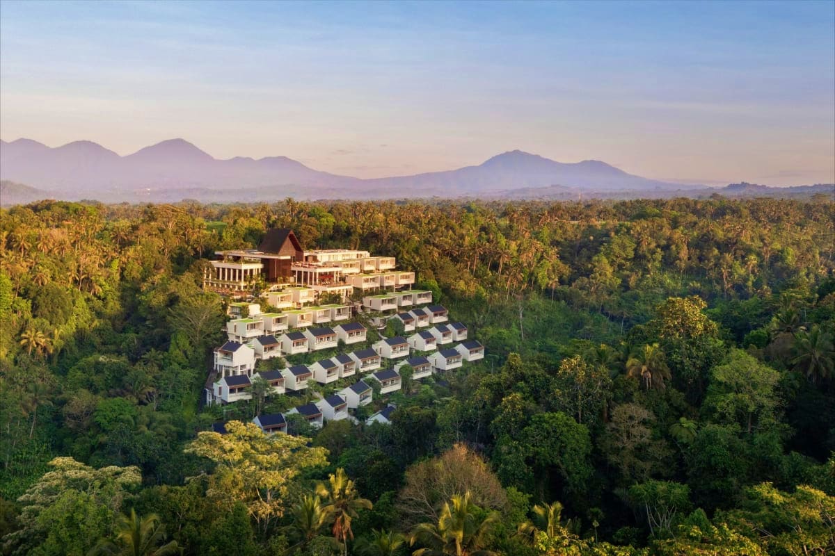 Ubud Highlights Private Day Tour