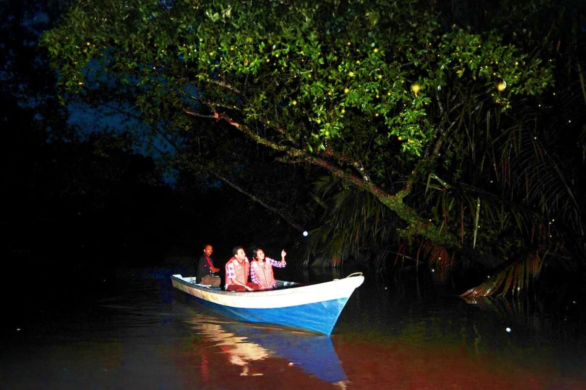 Fireflies Boat Tour with Dinner Fireflies Boat Tour with Dinner