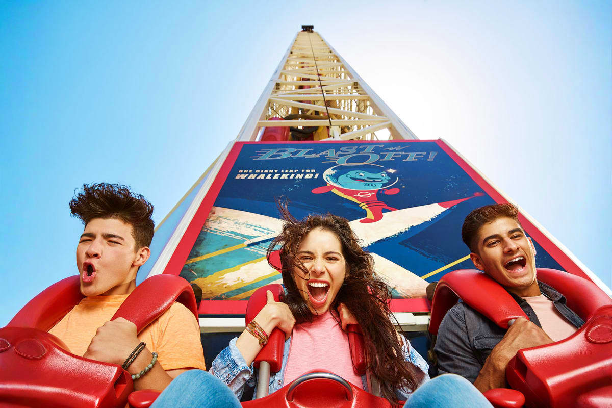 IMG5