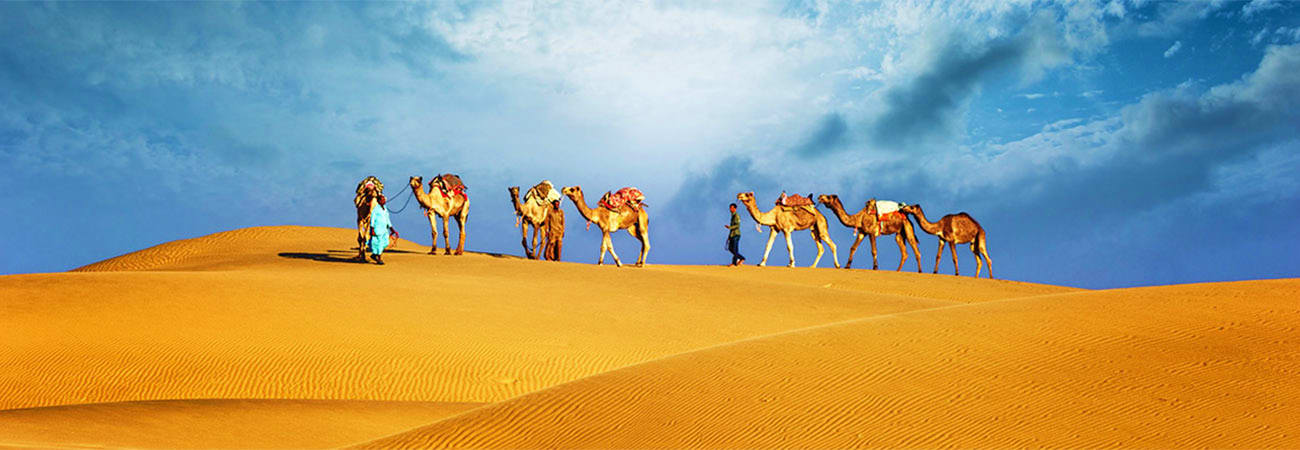 Camel Trekking in Abu Dhabi dubai-camel-safari