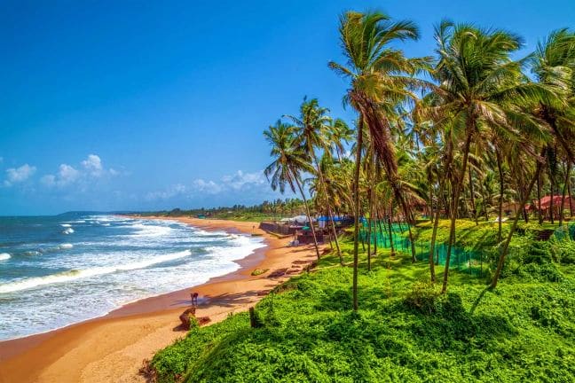Goa Goa