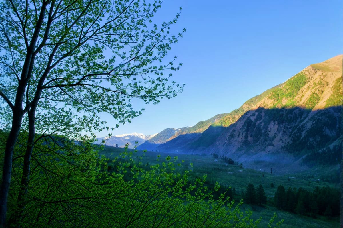 Best of Manali And Shimla With Solang Valley And Kufri Tour