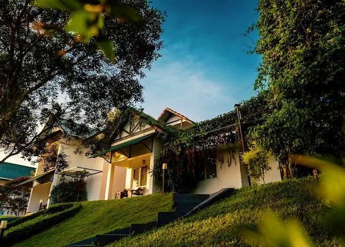 The Fog resort & spa/ Leaf Munnar /similar
