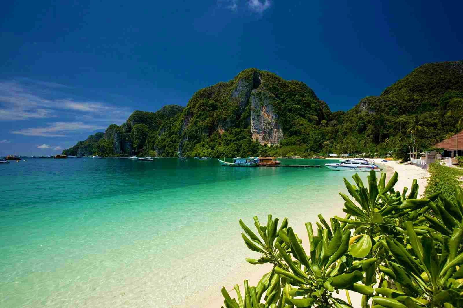 Phi Phi Island Tour by Speedboat with Lunch