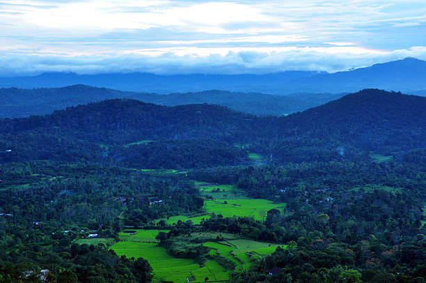 Mysore to Coorg Mysore to Coorg