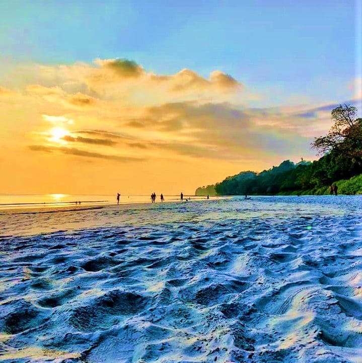 Arrival at Port Blair – Transfer to Havelock