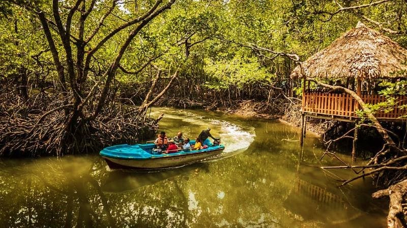 Excursion to Baratang Island – Limestone Caves & Mangrove Boat Ride