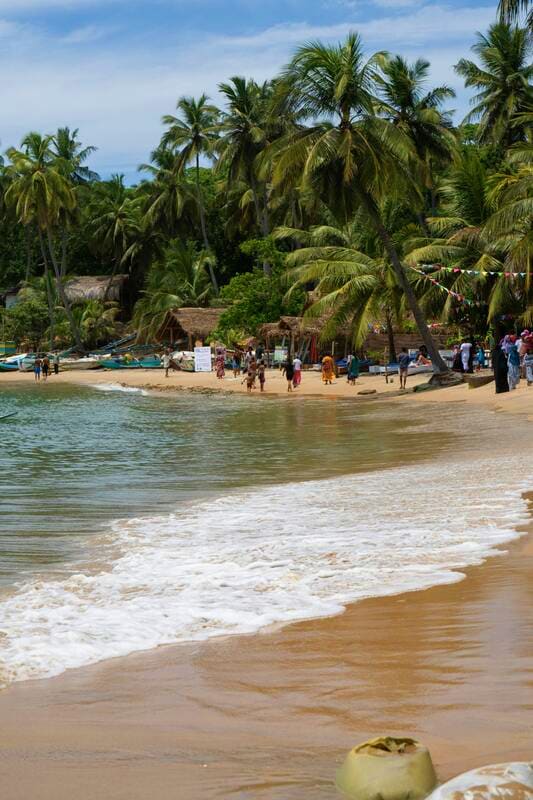  Bentota Experiences