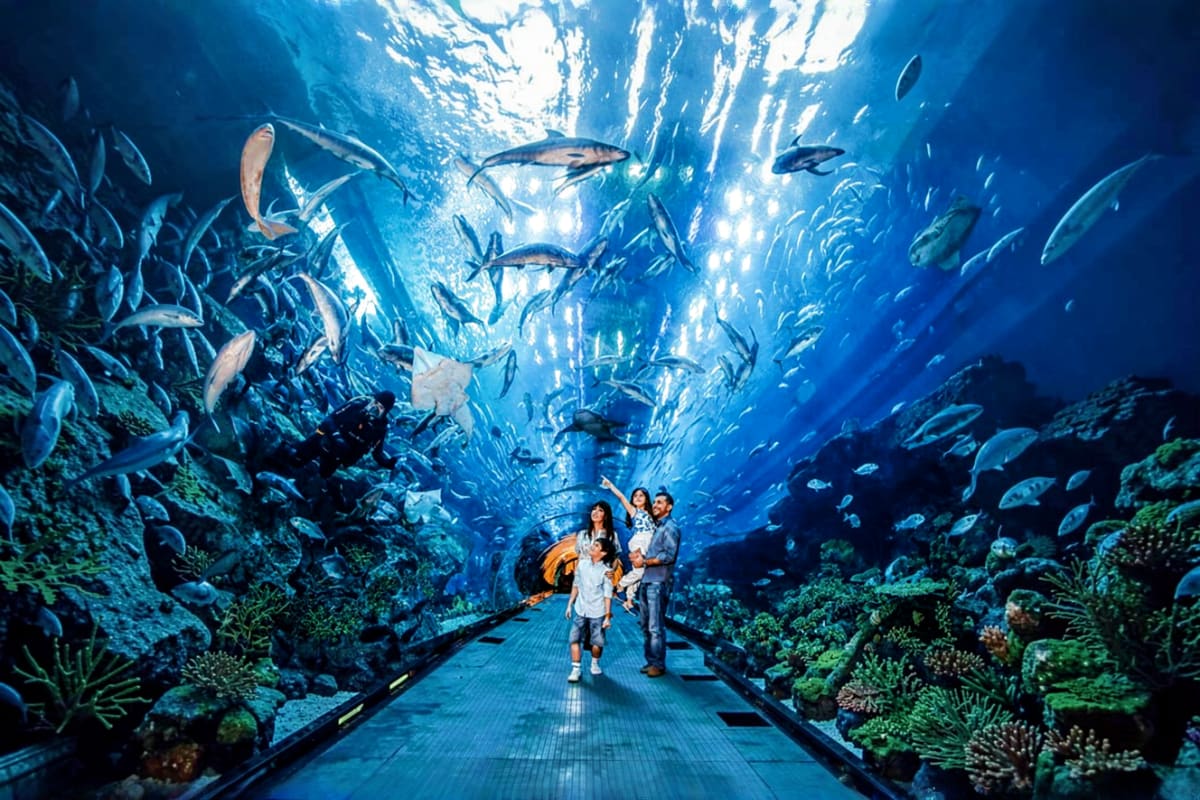 VinKE and Vin Pearl Aquarium