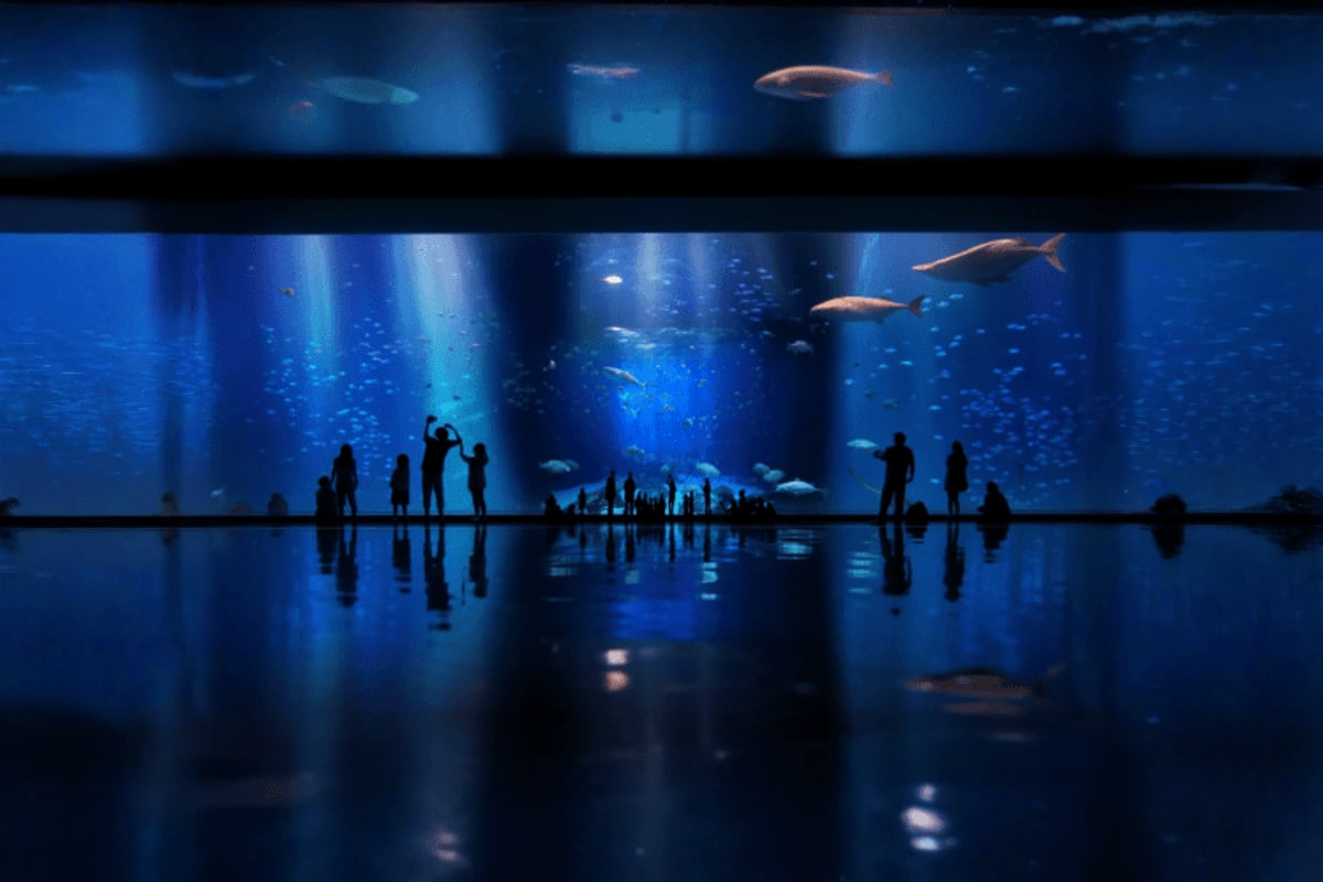Underwater World