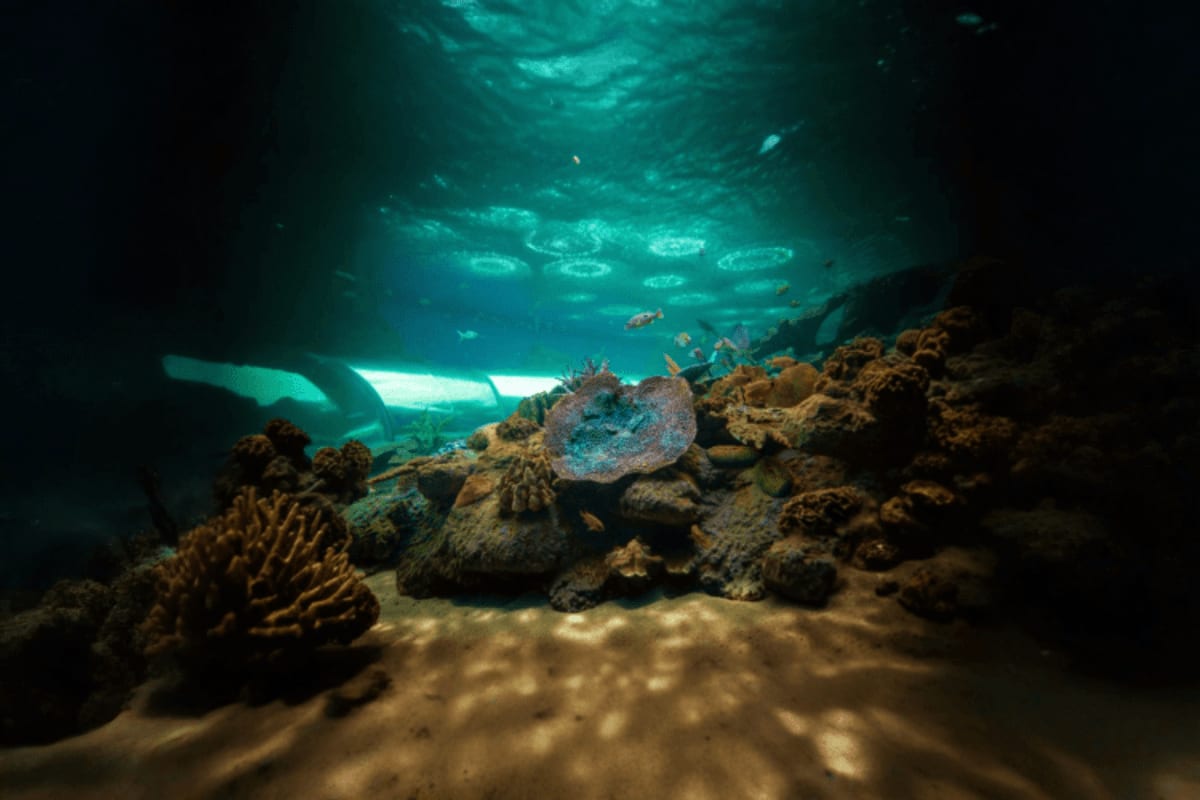 Underwater World