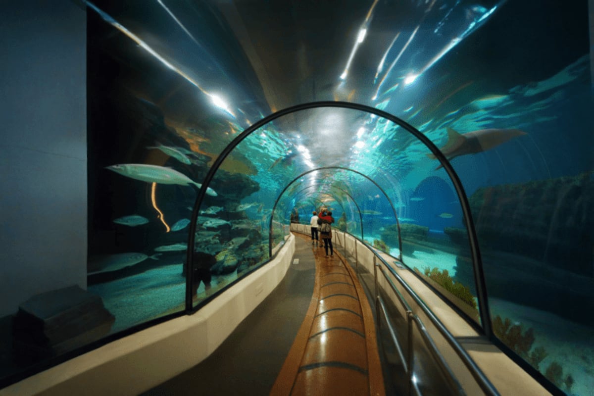 Underwater World
