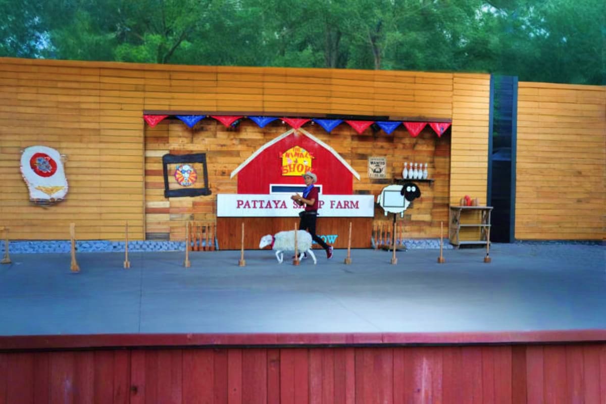 Family Park Pattaya Sheep Farm