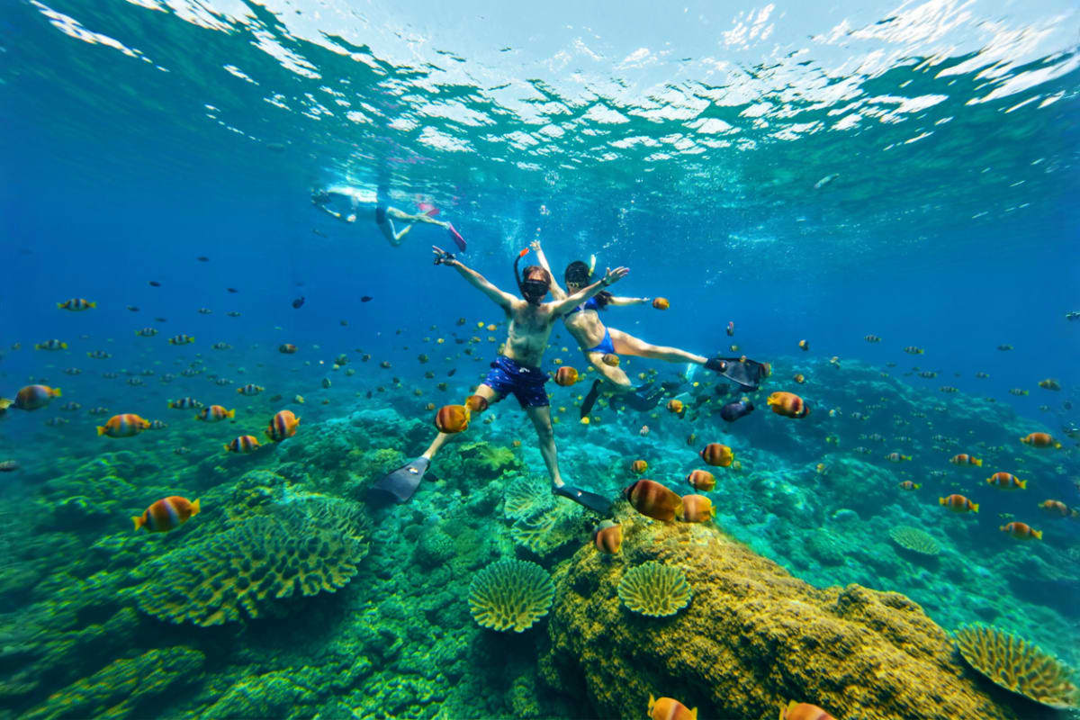 Snorkelling Day Tour in Nusa Lembongan and Nusa Penida from Bali