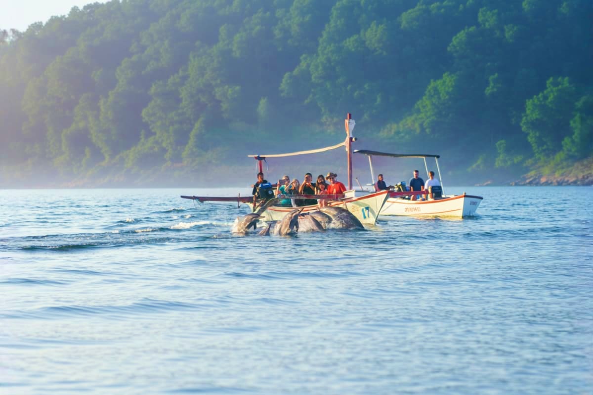 Lovina Dolphin Watching And North Bali Day Trip