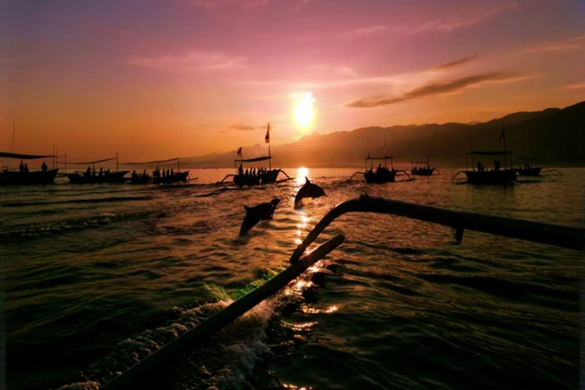 Lovina Dolphin Watching And North Bali Day Trip