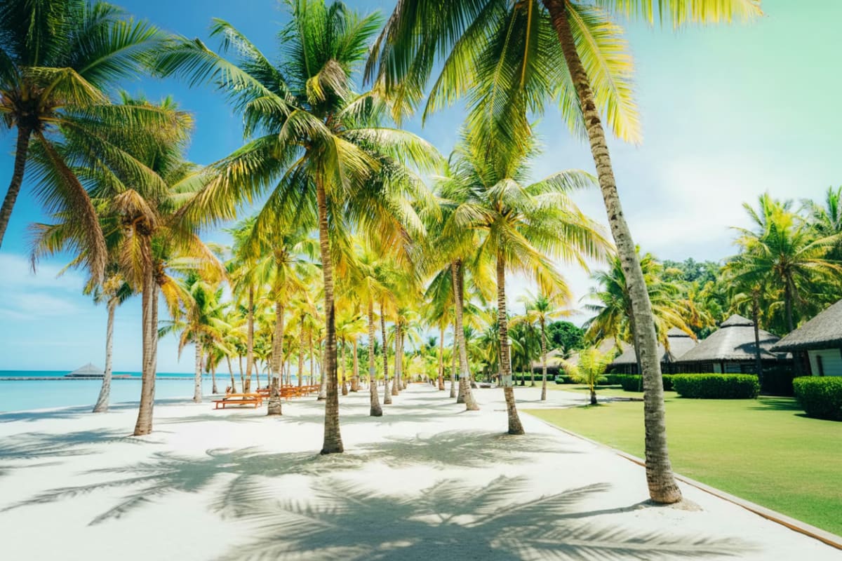 Bohol Day Tour from Cebu