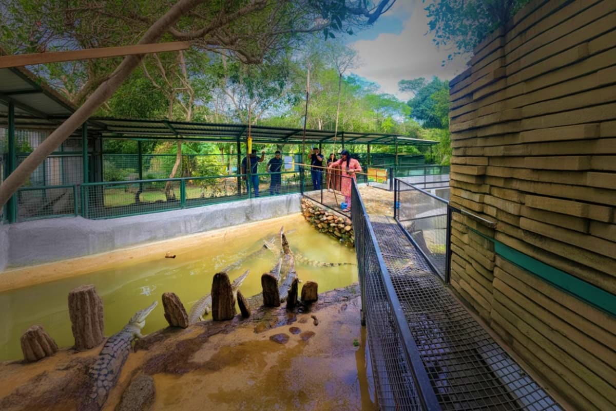 Crocodile Adventureland Langkawi Ticket