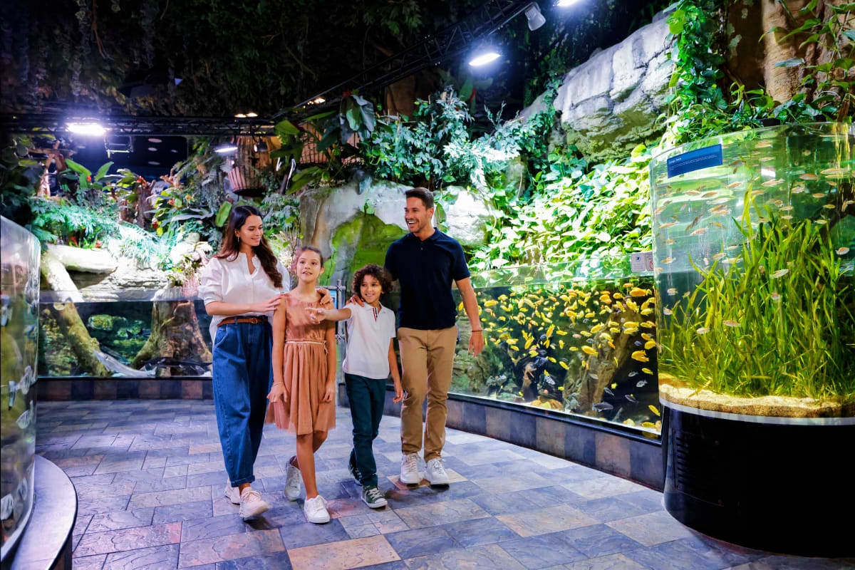 Dubai Aquarium and Underwater Zoo