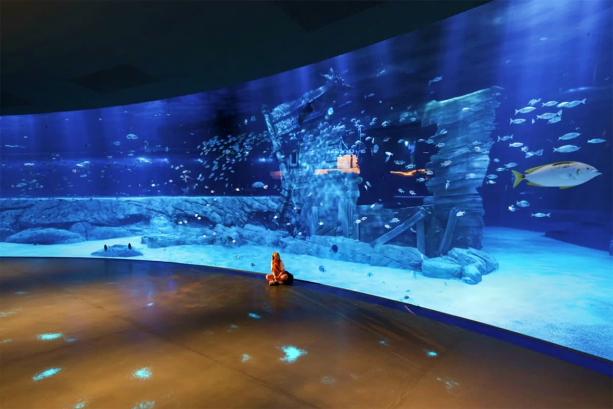 Lotte world aquarium