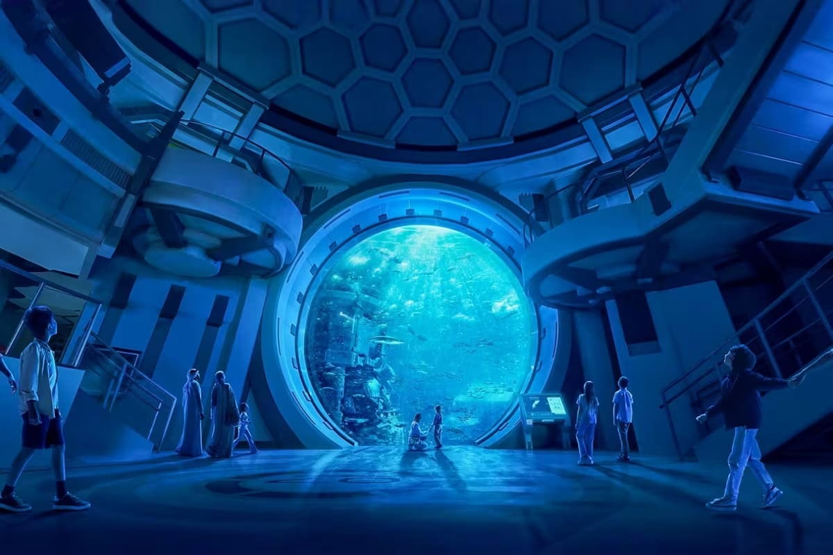 SeaWorld Abu Dhabi sea5