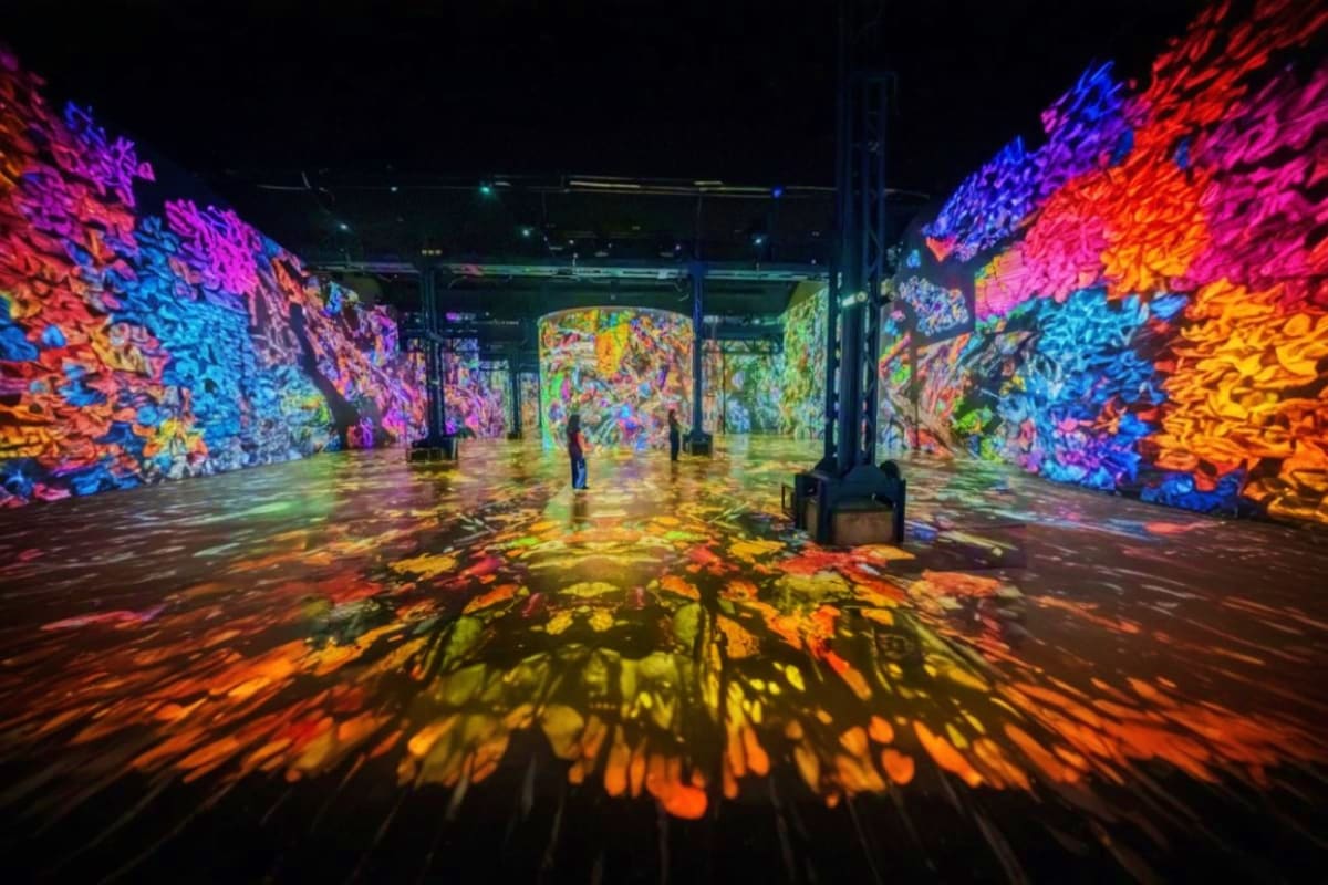 X Space Immersive with Digital Art experience