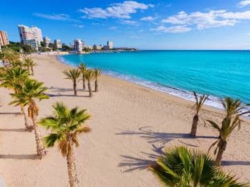 Alicante Alicante