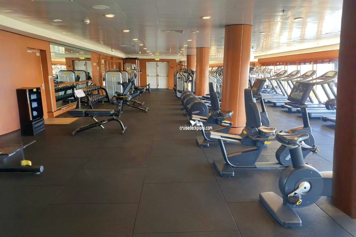 fitness