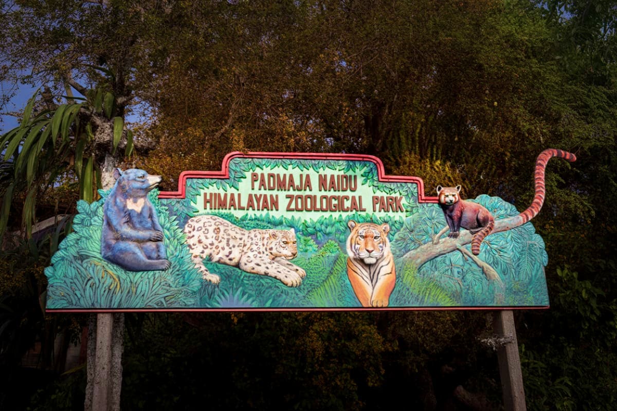 P.N. Zoological Park